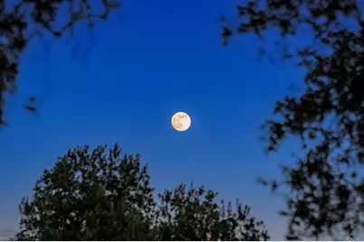 19161 Paradise Mountain Road, Valley Center, CA 92082 - Photo 33