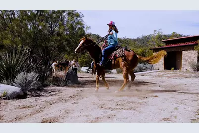 36750 Upper Valley Road, Anza, CA 92539 - Photo 31