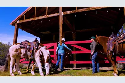 36750 Upper Valley Road, Anza, CA 92539 - Photo 27
