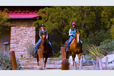 55025 Roadrunner Way, Anza, CA 92539 - Photo 27