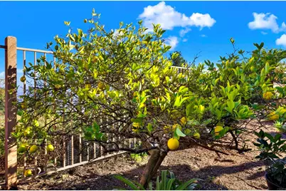 2022 Highland View, Escondido, CA 92026 - Photo 29