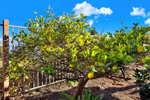 2022 Highland View, Escondido, CA 92026 - Photo 29