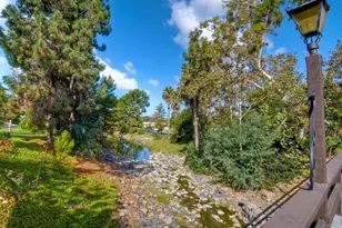 3445 Don Ortega Dr, Carlsbad, CA 92010 - Photo 35