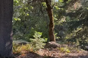 3413 Fern Meadow Rd, Palomar Mountain, CA 92060 - Photo 65