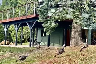 3413 Fern Meadow Rd, Palomar Mountain, CA 92060 - Photo 31