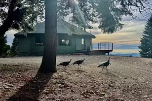 3413 Fern Meadow Rd, Palomar Mountain, CA 92060 - Photo 39