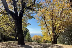 3413 Fern Meadow Rd, Palomar Mountain, CA 92060 - Photo 67