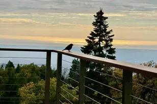 3413 Fern Meadow Rd, Palomar Mountain, CA 92060 - Photo 15