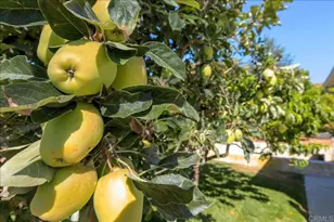 827 Bayberry Ct, San Marcos, CA 92069 - Photo 27