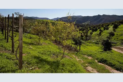 31702 Nira Lane, Bonsall, CA 92003 - Photo 55