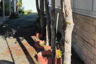 8712 N Magnolia Ave #Spc 65, Santee, CA 92071 - Photo 27