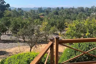 6858 Las Colinas, Rancho Santa Fe, CA 92067 - Photo 19