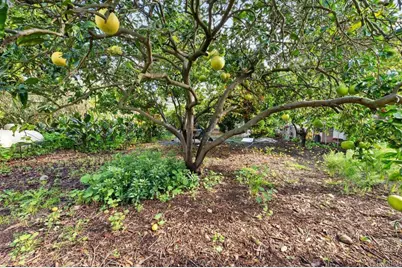 2362 Lone Oak Lane, Vista, CA 92084 - Photo 29