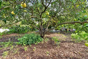 2362 Lone Oak Ln, Vista, CA 92084 - Photo 29