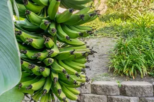 2655 Seacrest, Vista, CA 92081 - Photo 27