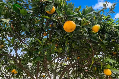 2043 Rue De La Montagne, Oceanside, CA 92054 - Photo 25