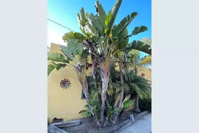 121 E Warner St, Ventura, CA 93001 - Photo 39