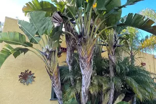 121 E Warner St, Ventura, CA 93001 - Photo 39