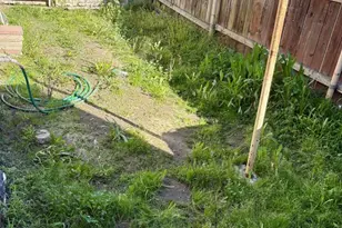 5202 Gifford Ave, Maywood, CA 90270 - Photo 23