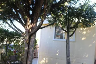 1455 Alturas Rd, Fallbrook, CA 92028 - Photo 13