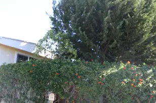 1455 Alturas Rd, Fallbrook, CA 92028 - Photo 9