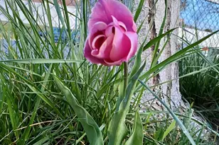 30606 Falling Star Cir, Valley Center, CA 92082 - Photo 49