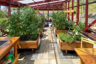 3565 Via Loma Vista, Escondido, CA 92029 - Photo 45