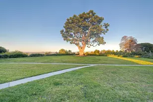 4314 Auklet Way, Oceanside, CA 92057 - Photo 31