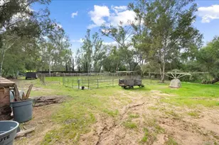 823 Rice Canyon Rd, Fallbrook, CA 92028 - Photo 5