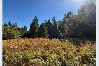 22248 Crestline Road, Palomar Mountain, CA 92060 - Photo 51