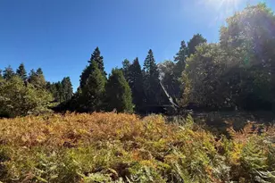 22248 Crestline Rd, Palomar Mountain, CA 92060 - Photo 51