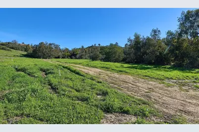 16331 Rambla De Las Flores, Rancho Santa Fe, CA 92067 - Photo 5