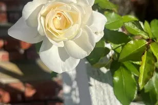 1145 E Barham Dr, San Marcos, CA 92078 - Photo 9