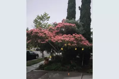 5544 Mill Creek Road, San Diego, CA 92130 - Photo 39