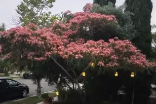 5544 Mill Creek Rd, San Diego, CA 92130 - Photo 39