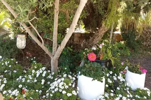 5544 Mill Creek Rd, San Diego, CA 92130 - Photo 29