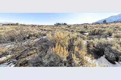 14 Hawkins Peak Road, Markleeville, CA 96120 - Photo 13