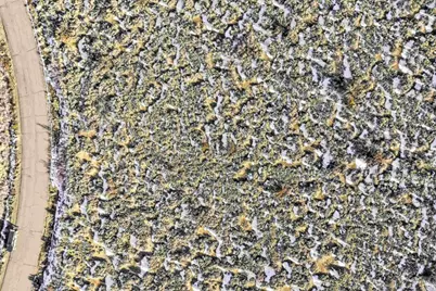 14 Hawkins Peak Road, Markleeville, CA 96120 - Photo 7