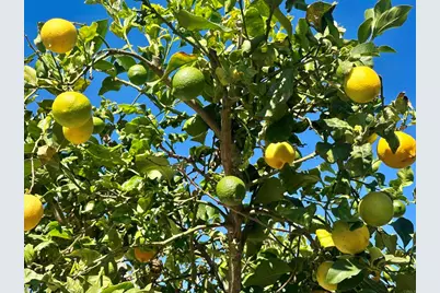 2445 S. Stage Coach Ln., Fallbrook, CA 92028 - Photo 57