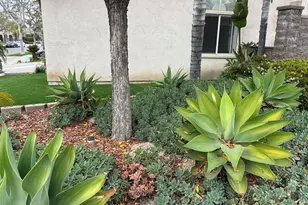 1623 Lakoya Dr, Chula Vista, CA 91913 - Photo 3