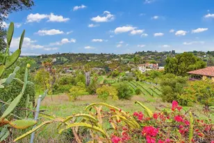 3655 Lupine Ln, Fallbrook, CA 92028 - Photo 49