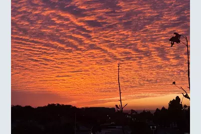 1205 Calle Seabass #46, San Diego, CA 92154 - Photo 23