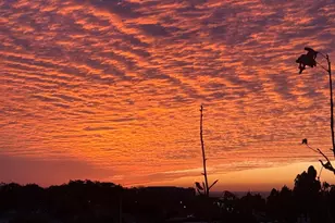 1205 Calle Seabass, San Diego, CA 92154 - Photo 23