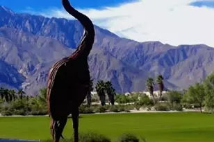 779 Spaulding Ln, Palm Springs, CA 92262 - Photo 53