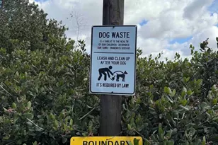 2168 S Coast Hwy, Oceanside, CA 92054 - Photo 35