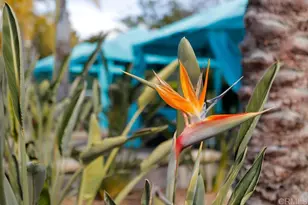 3609 Buck Ridge Ave, Carlsbad, CA 92010 - Photo 59