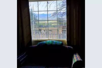 41945 Apple Road, Anza, CA 92539 - Photo 11