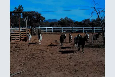 41945 Apple Road, Anza, CA 92539 - Photo 13