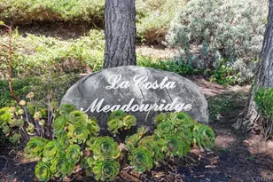 6561 Corte Cisco, Carlsbad, CA 92009 - Photo 45