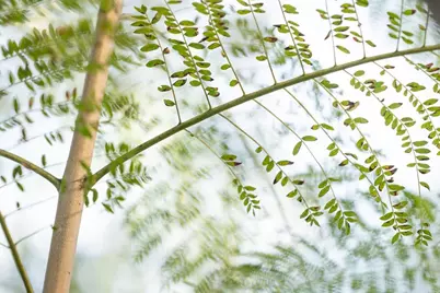 12604 Carmel Country Road #17, San Diego, CA 92130 - Photo 45